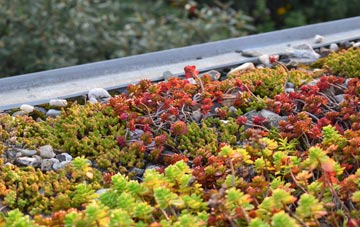 the cost of Brinkhill green roof installation