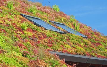 Brinkhill living roof systems