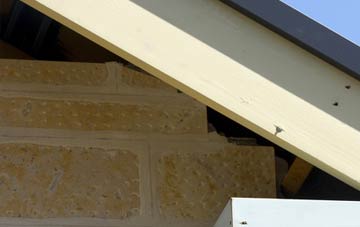 soffit repair Brinkhill