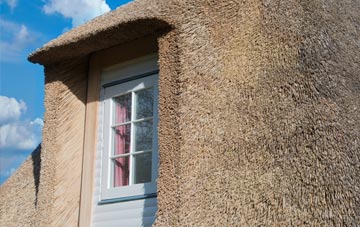 Brinkhill thatch roof disadvantages